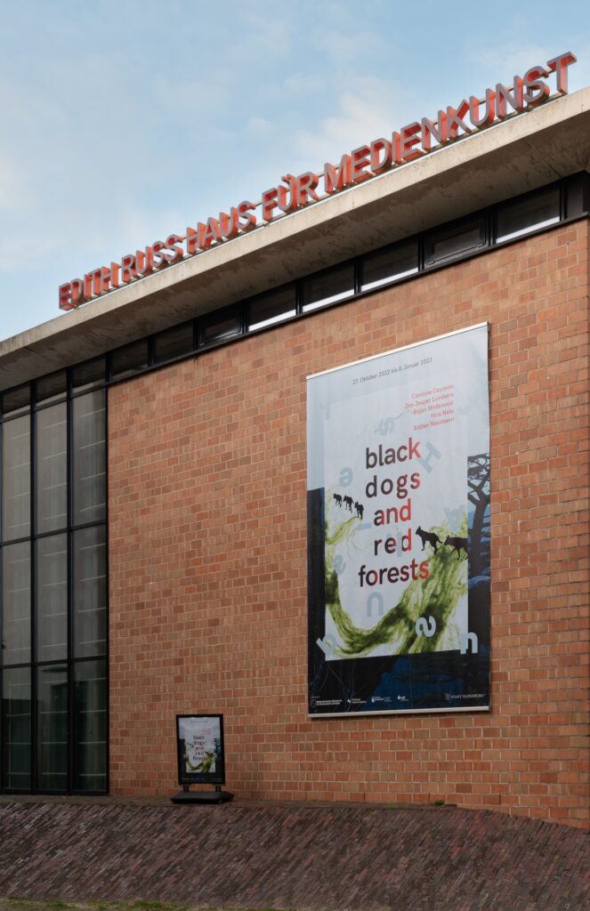 Black Dogs and Red Forests. Foto © Edith-Russ-Haus