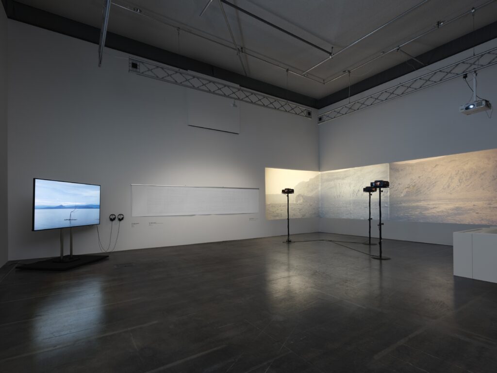 Ausstellungsansicht Black Dogs and Red Forests. Foto © Edith-Russ-Haus