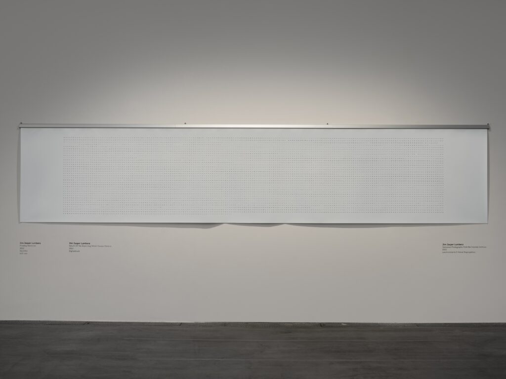 Jim Jasper Lumbera: Return Of The Black Dog Which Causes Cholera. Foto © Edith-Russ-Haus