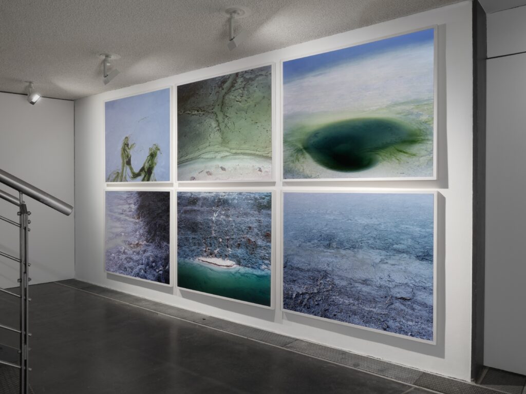 Bojan Mr?enovi?: Imported Deserts. Foto © Edith-Russ-Haus