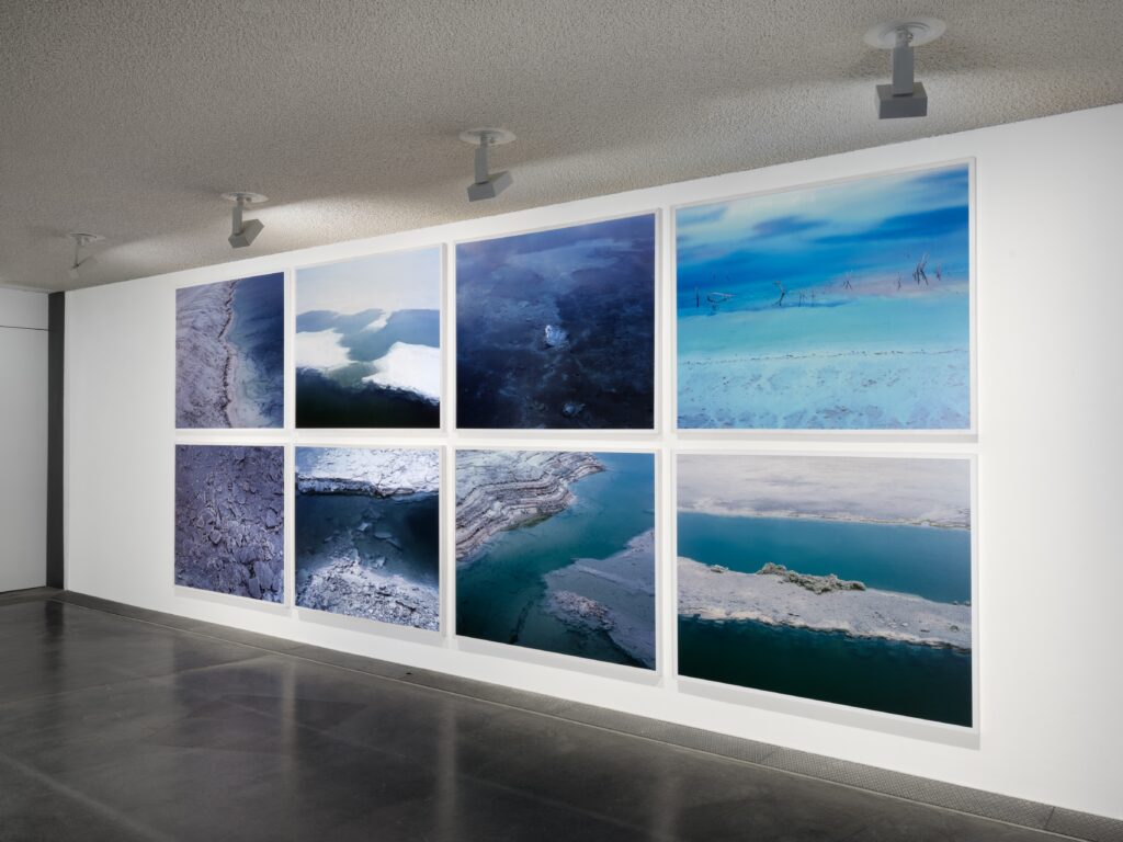 Bojan Mr?enovi?: Imported Deserts. Foto © Edith-Russ-Haus