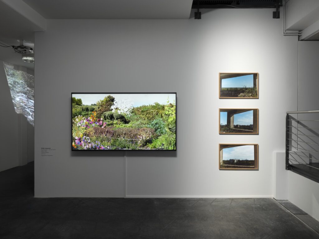 Esther Neumann: Strahlenpark - Hannas Garten. Foto © Edith-Russ-Haus