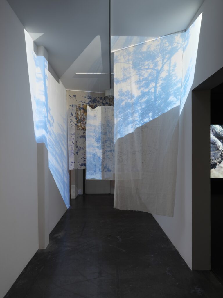 Hira Nabi: How To Love A Tree. Foto © Edith-Russ-Haus