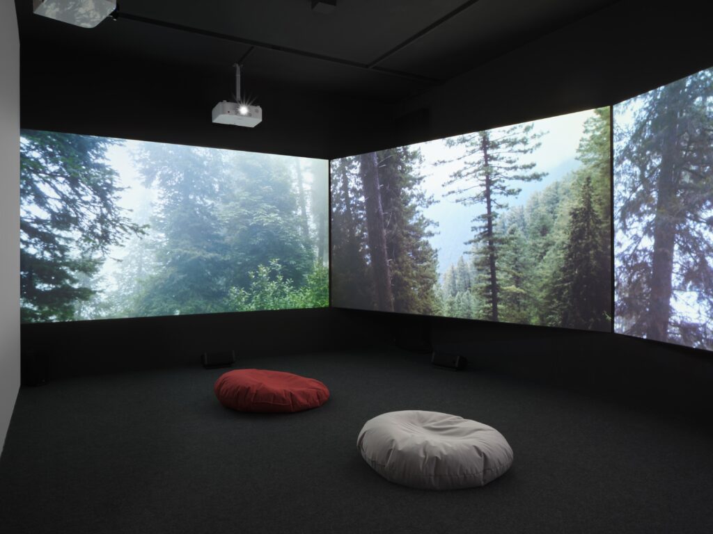 Hira Nabi: How To Love A Tree. Foto © Edith-Russ-Haus