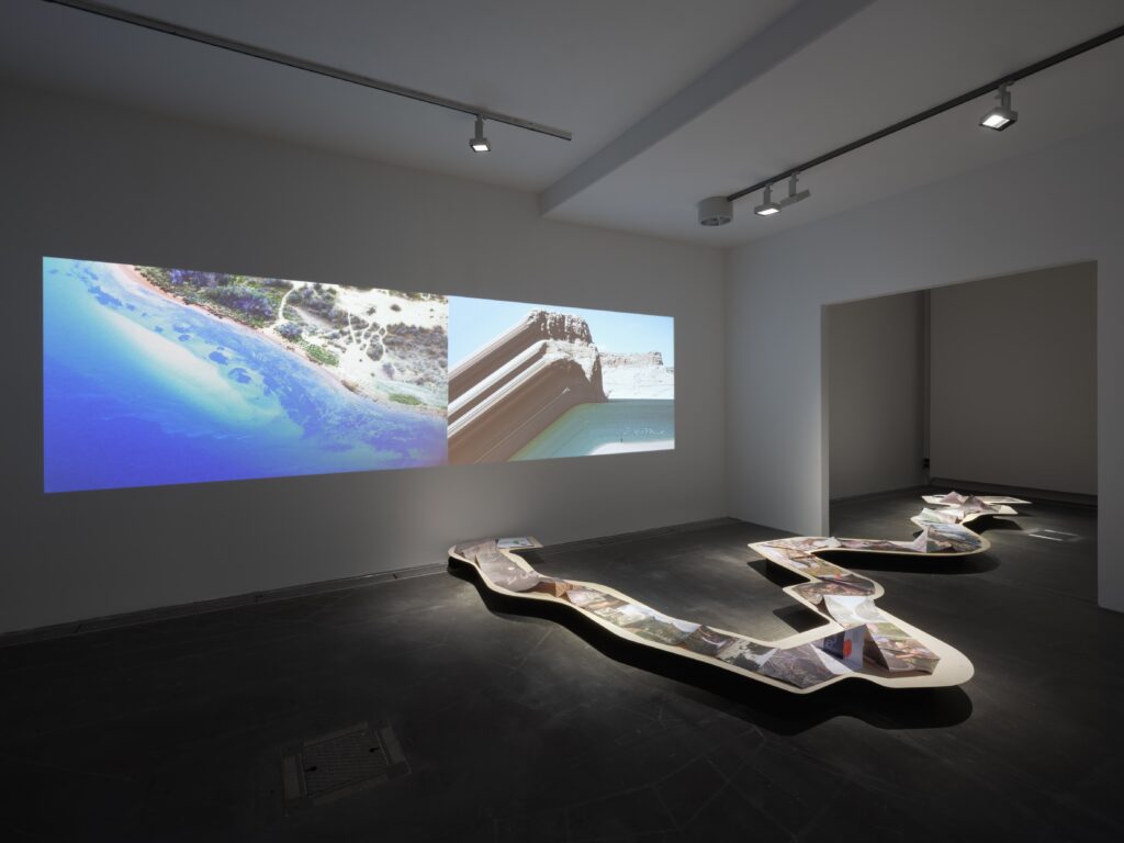 Ausstellungsansicht Black Dogs and Red Forests. Foto © Edith-Russ-Haus