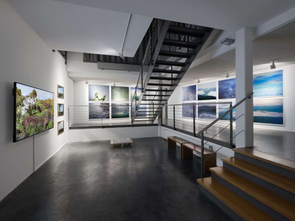 Ausstellungsansicht Black Dogs and Red Forests. Foto © Edith-Russ-Haus