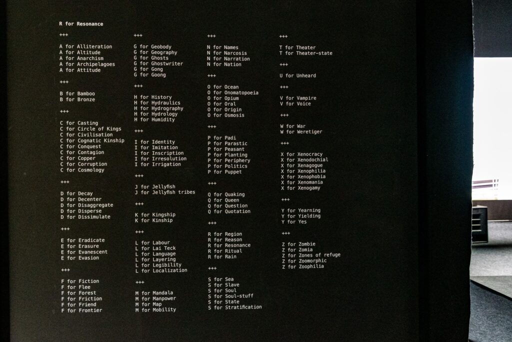 Ho Tzu Nyen: R for Resonance. Photo © Edith-Russ-Haus