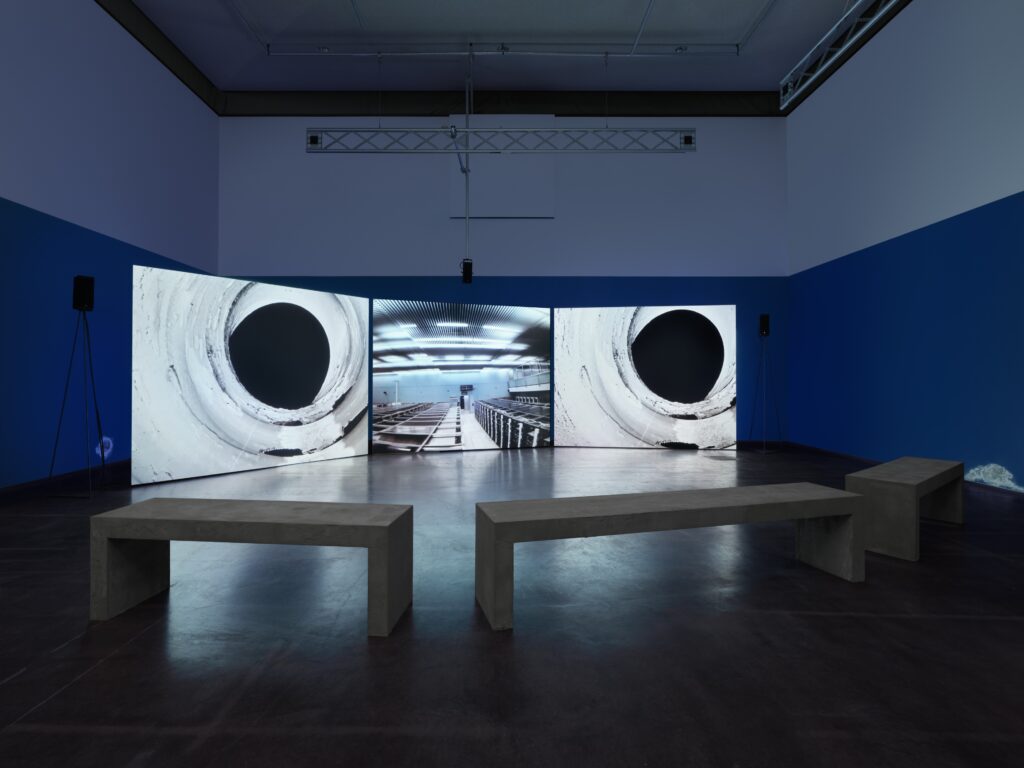 James Newitt: Haven. Photo © Edith-Russ-Haus 2023