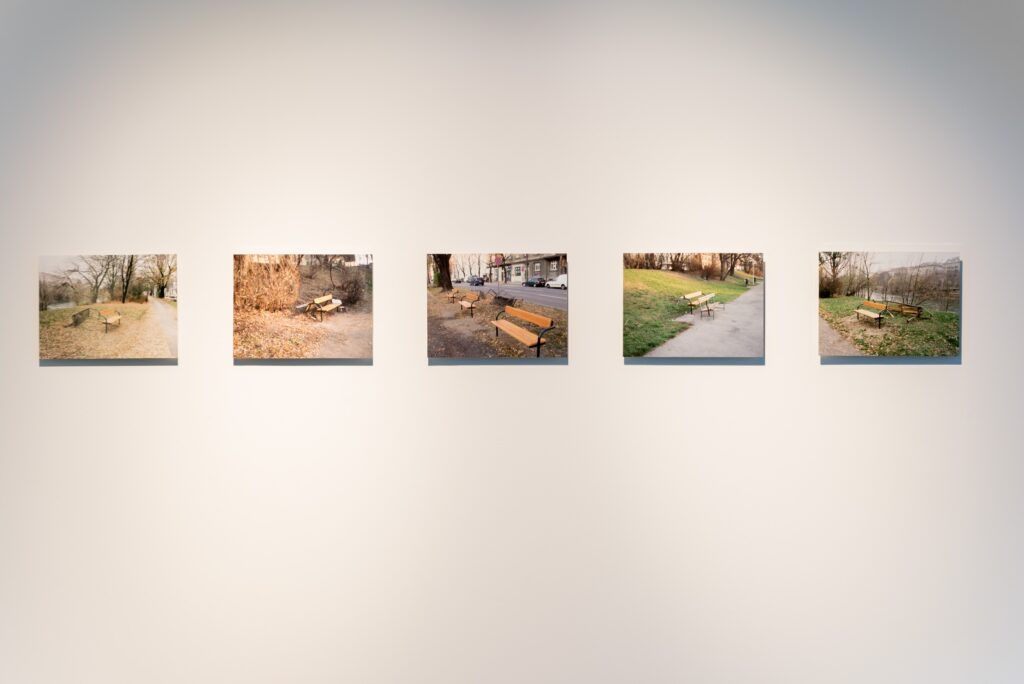 Leopold Kessler: Neue Parkbänke. Foto © Edith-Russ-Haus