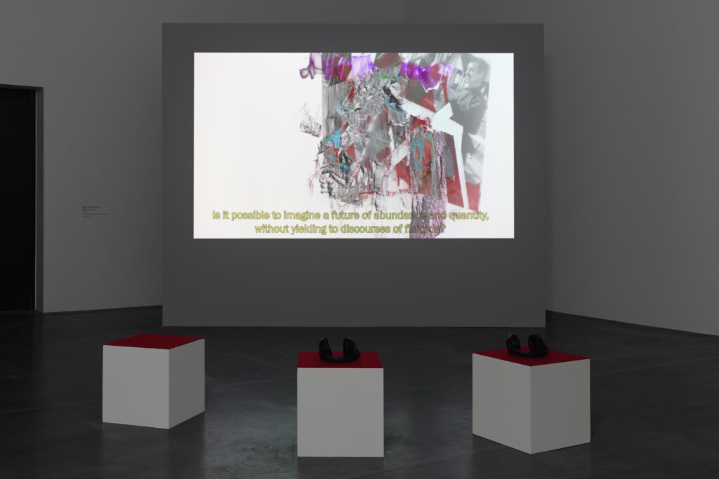 Bahar Noorizadeh: After Scarcity. Photo © Edith-Russ-Haus