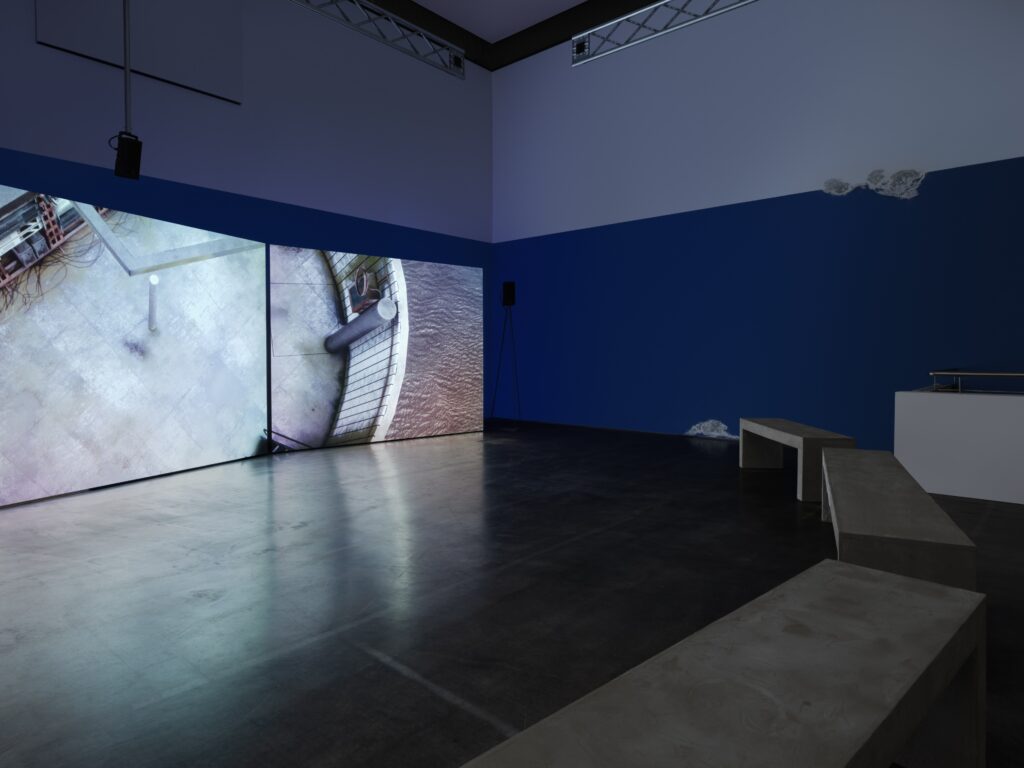 James Newitt: Haven. Photo © Edith-Russ-Haus 2023