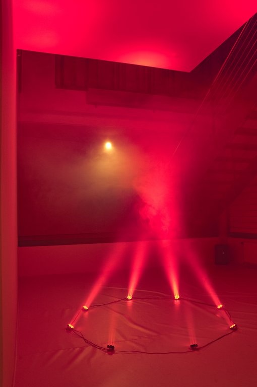 Claudia Kapp: Celebration. Photo Franz J Wamhof © Edith-Russ-Haus Claudia Kapp: Celebration. Photo Franz J Wamhof © Edith-Russ-Haus