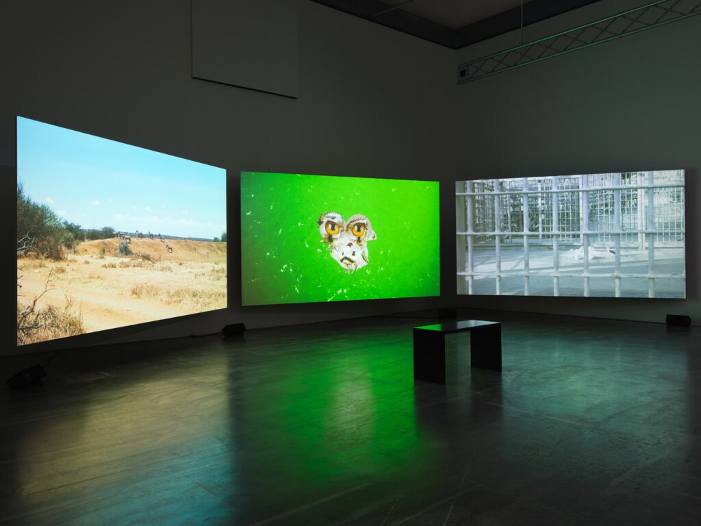 Clara Jo: De Anima. Photo © Edith-Russ-Haus