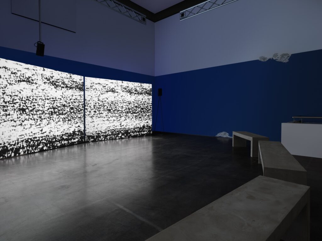 James Newitt: Haven. Photo © Edith-Russ-Haus 2023