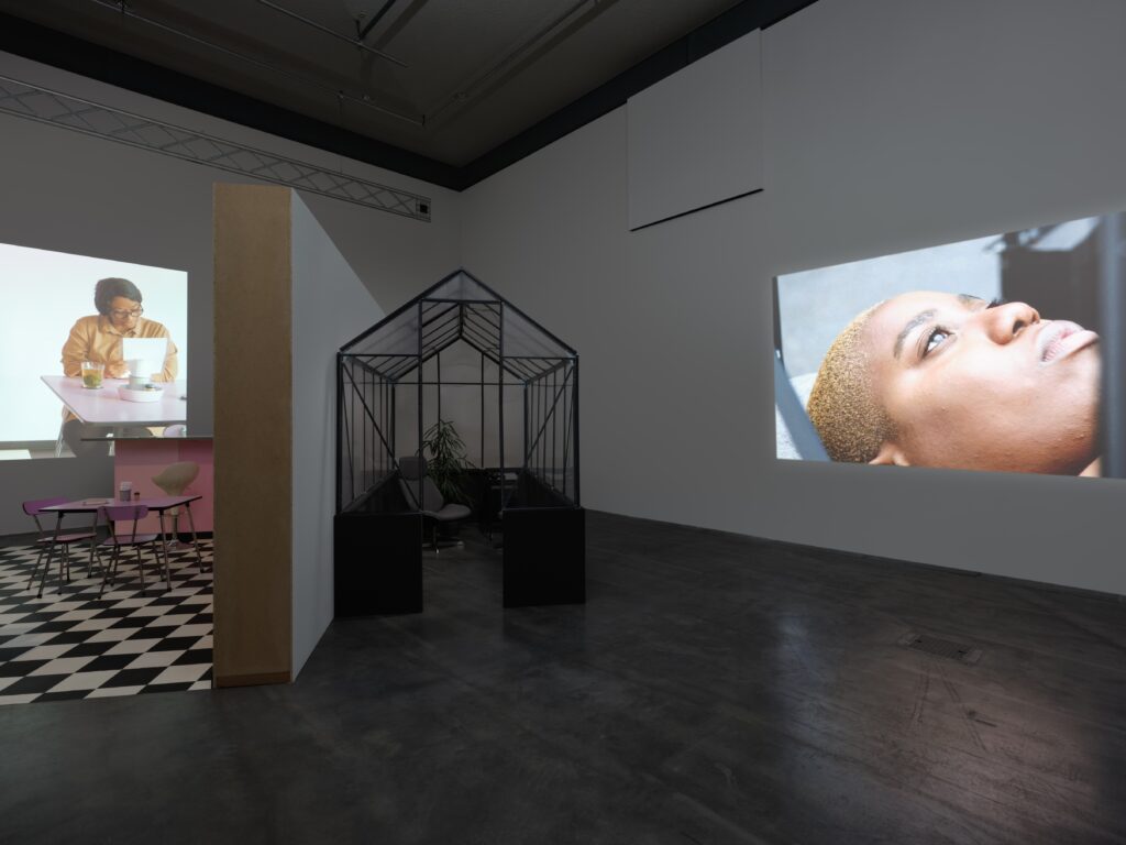 Silvia Martes: Enclose. Deprive of Light. Hide. Photo © Edith-Russ-Haus 2022