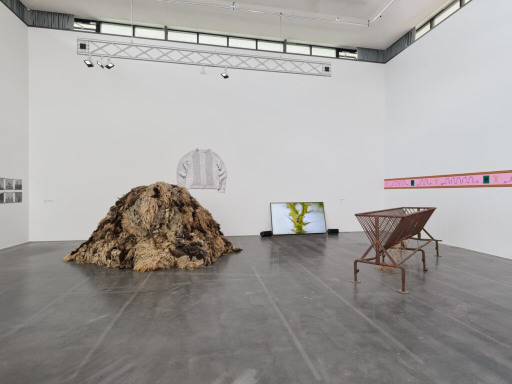 The Oldenburg Gleaners Society Club, Photo © Haus für Medienkunst 2025