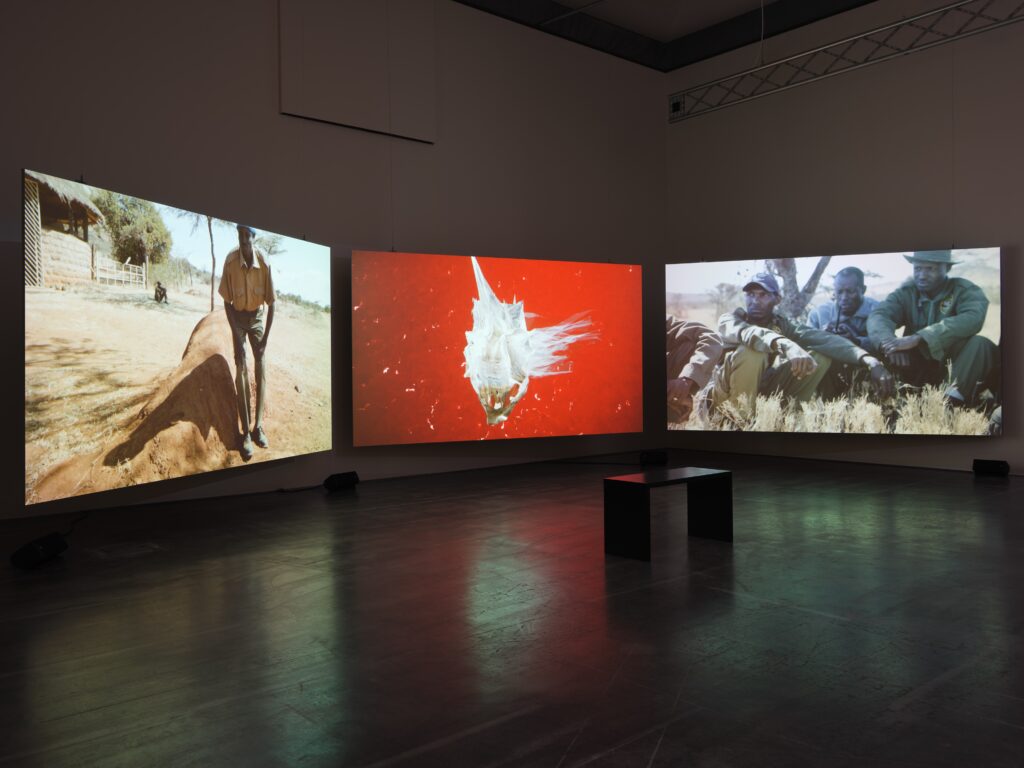 Clara Jo: De Anima. Phto © Edith-Russ-Haus