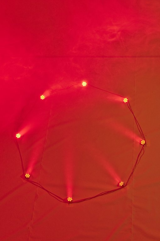 Claudia Kapp: Celebration. Photo Franz J Wamhof © Edith-Russ-Haus Claudia Kapp: Celebration. Photo Franz J Wamhof © Edith-Russ-Haus