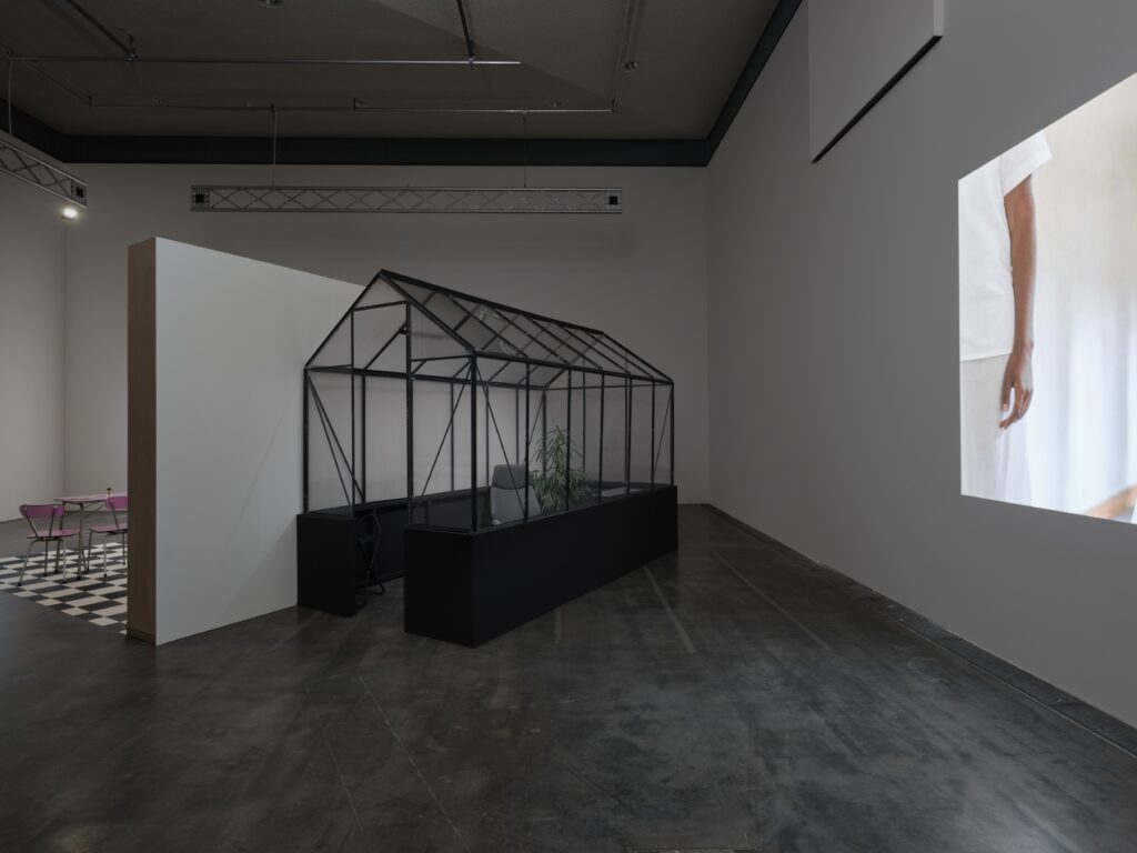 Silvia Martes: Enclose. Deprive of Light. Hide. Photo © Edith-Russ-Haus 2022