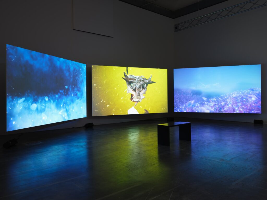 Clara Jo: De Anima. Photo © Edith-Russ-Haus