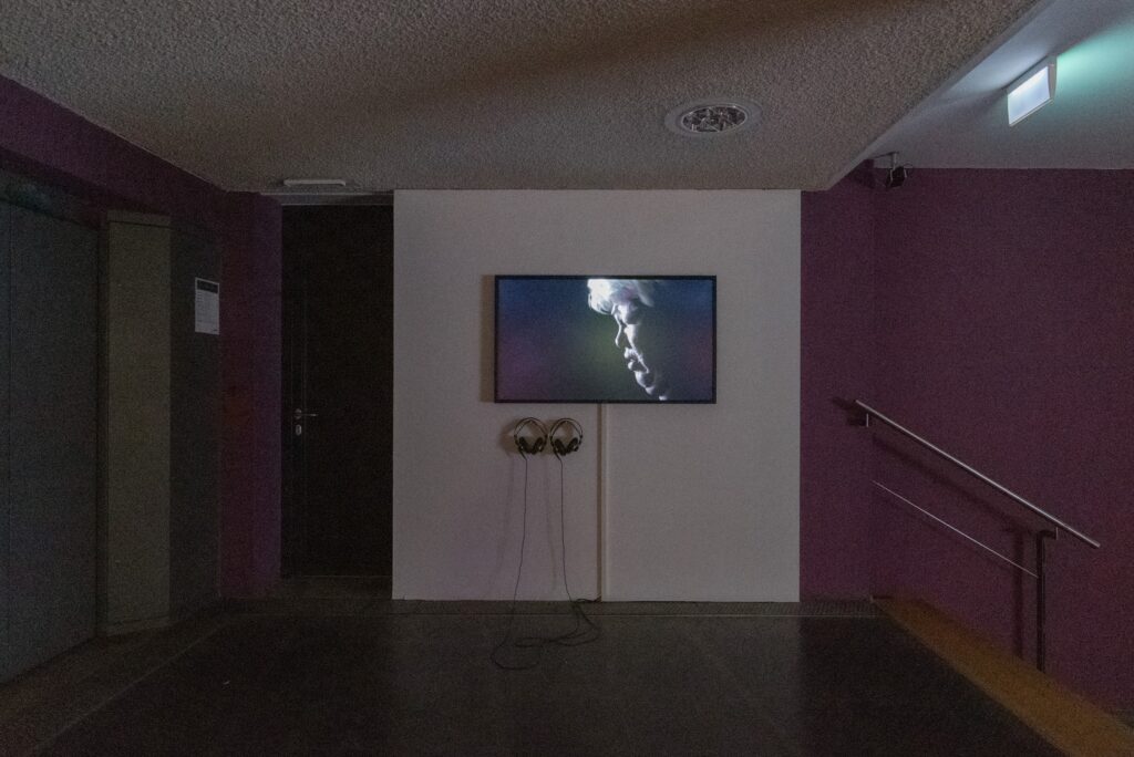 Ho Tzu Nyen: Gould. Photo © Edith-Russ-Haus