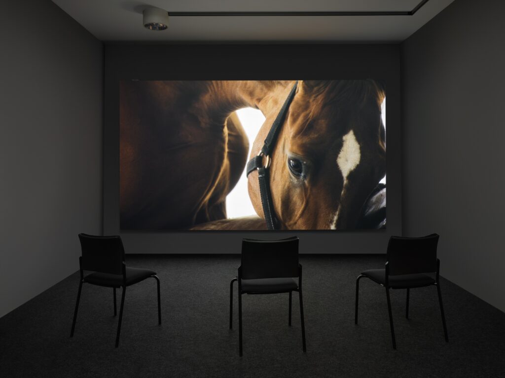 Lucy Beech: Reproductive Exile. Photo © Edith-Russ-Haus 2023