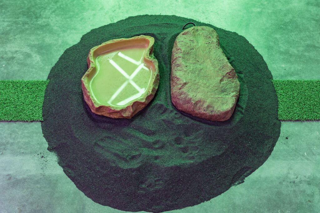 Zach Blas: The Doors. Foto © Edith-Russ-Haus