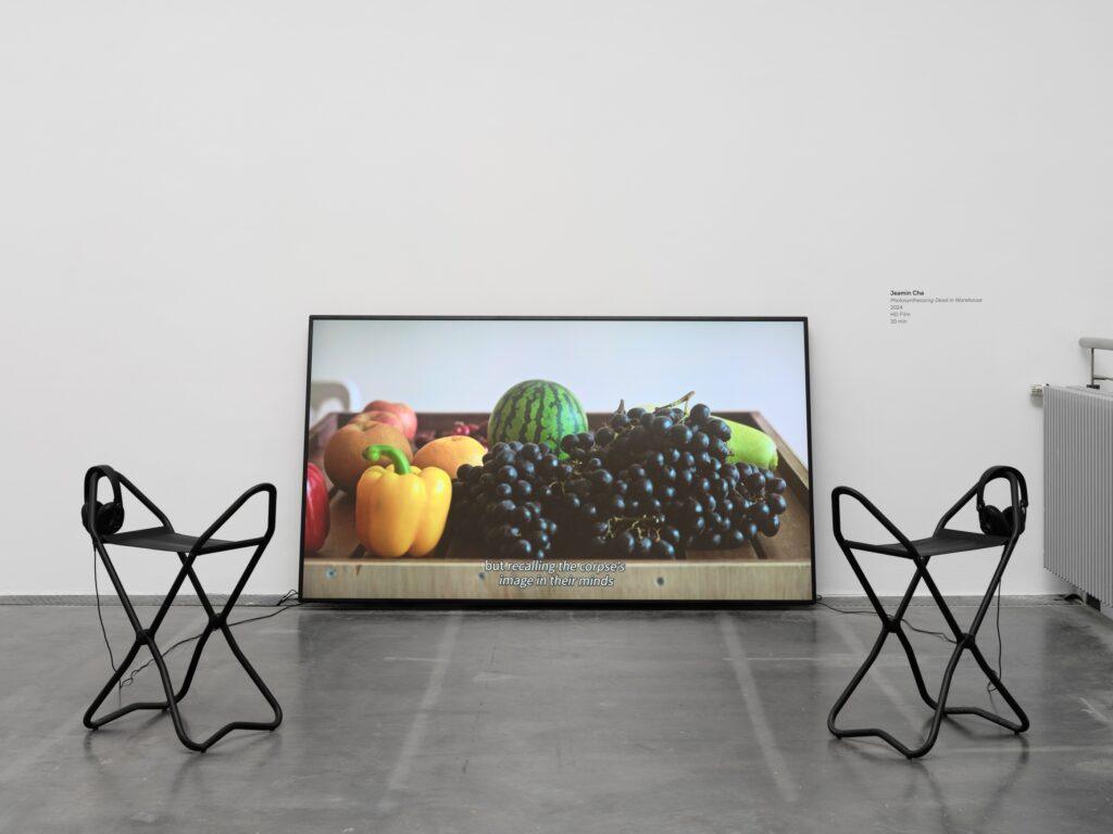 Jeamin Cha - Photosynthesizing Dead In Warehouse. 2024, Photo © Haus für Medienkunst 2025