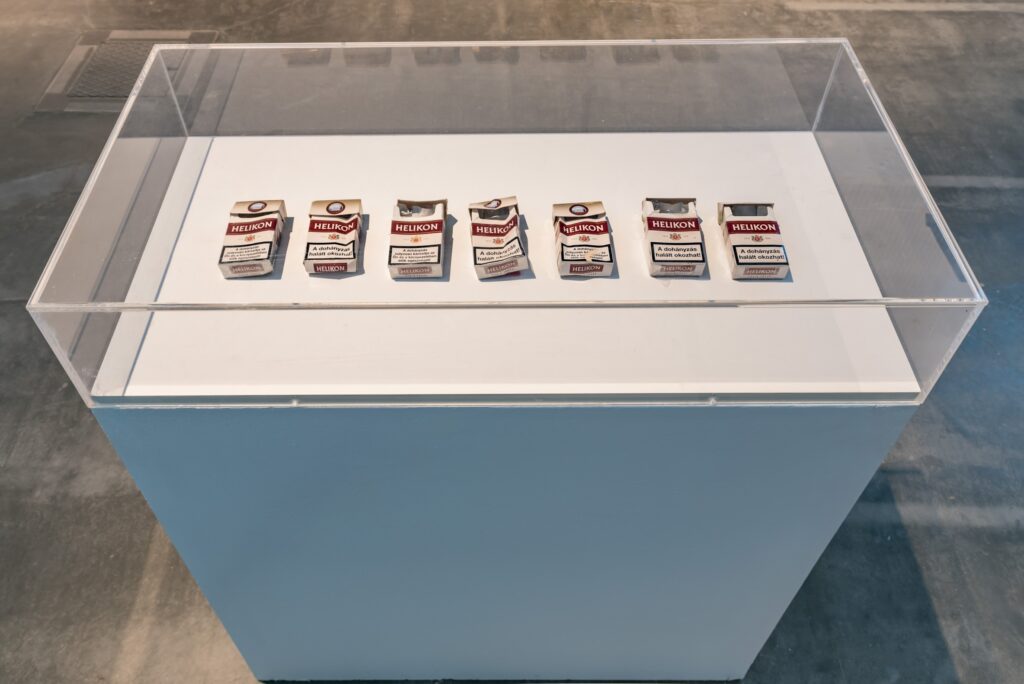 Leopold Kessler: Import. Foto © Edith-Russ-Haus