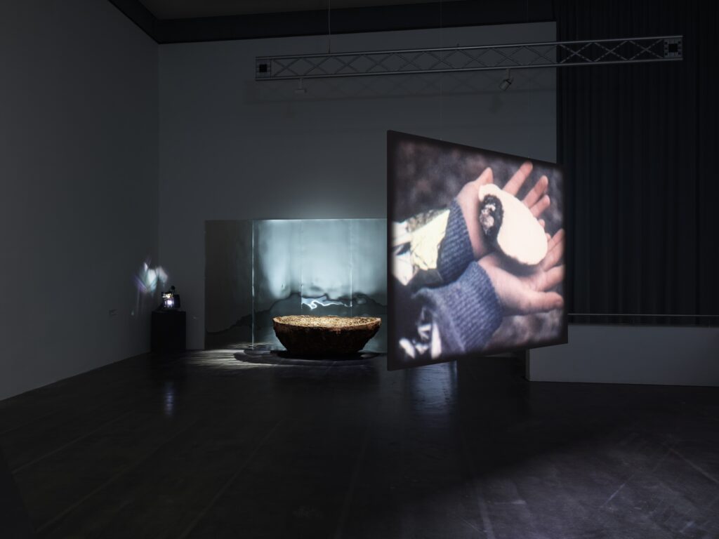 Nilthamrong & Rattanasomrerk: Spore. Photo © Haus für Medienkunst 2025