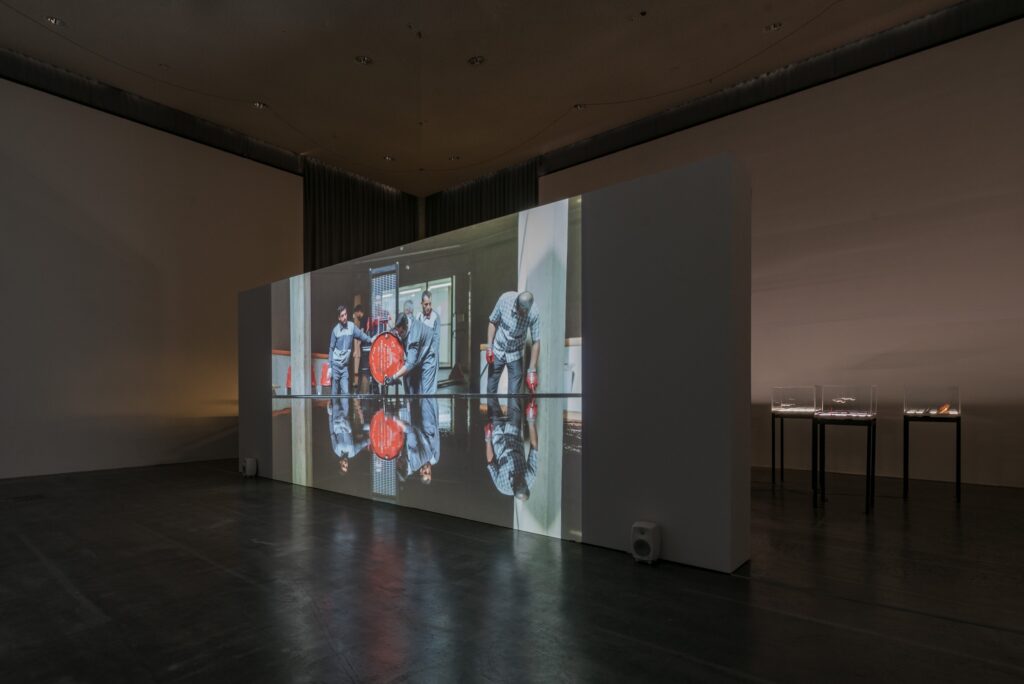 Shirin Sabahi: Mouthful. Photo © Edith-Russ-Haus