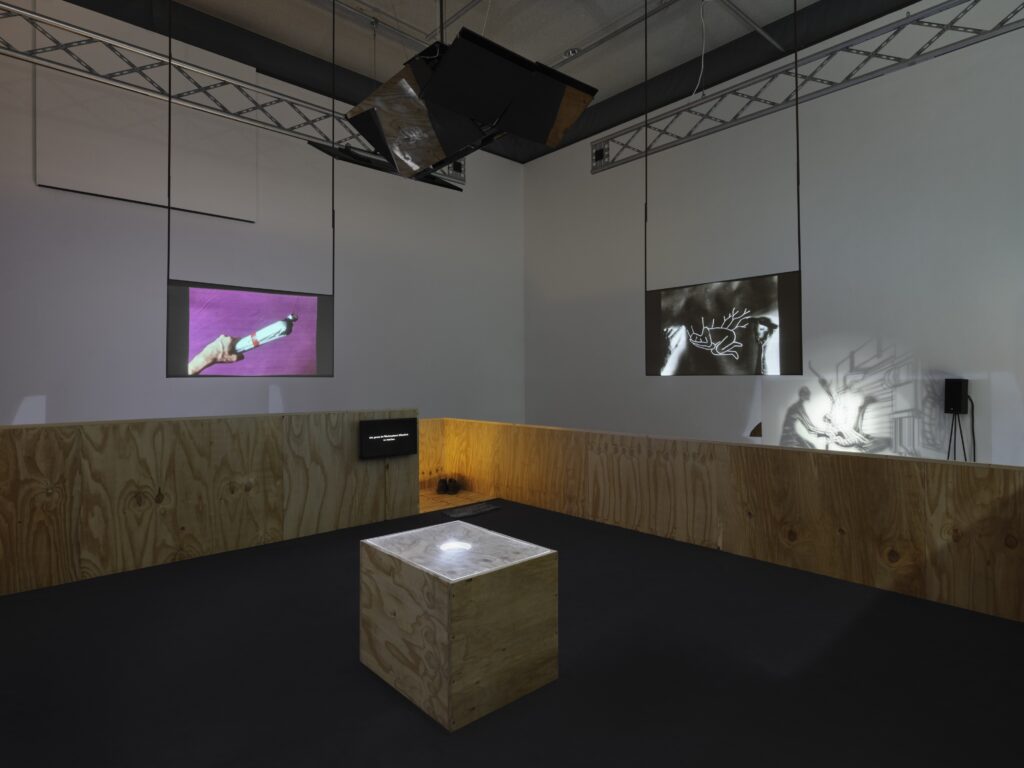 Randomroutines: A Dream on Lucids. Photo © Edith-Russ-Haus 2023