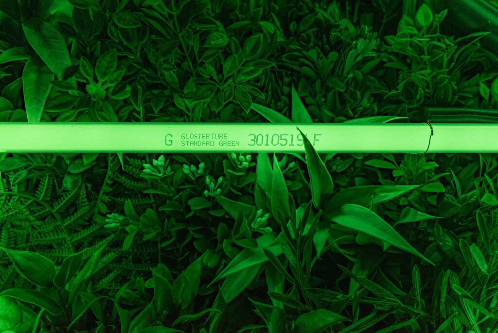 Zach Blas: The Doors. Foto © Edith-Russ-Haus