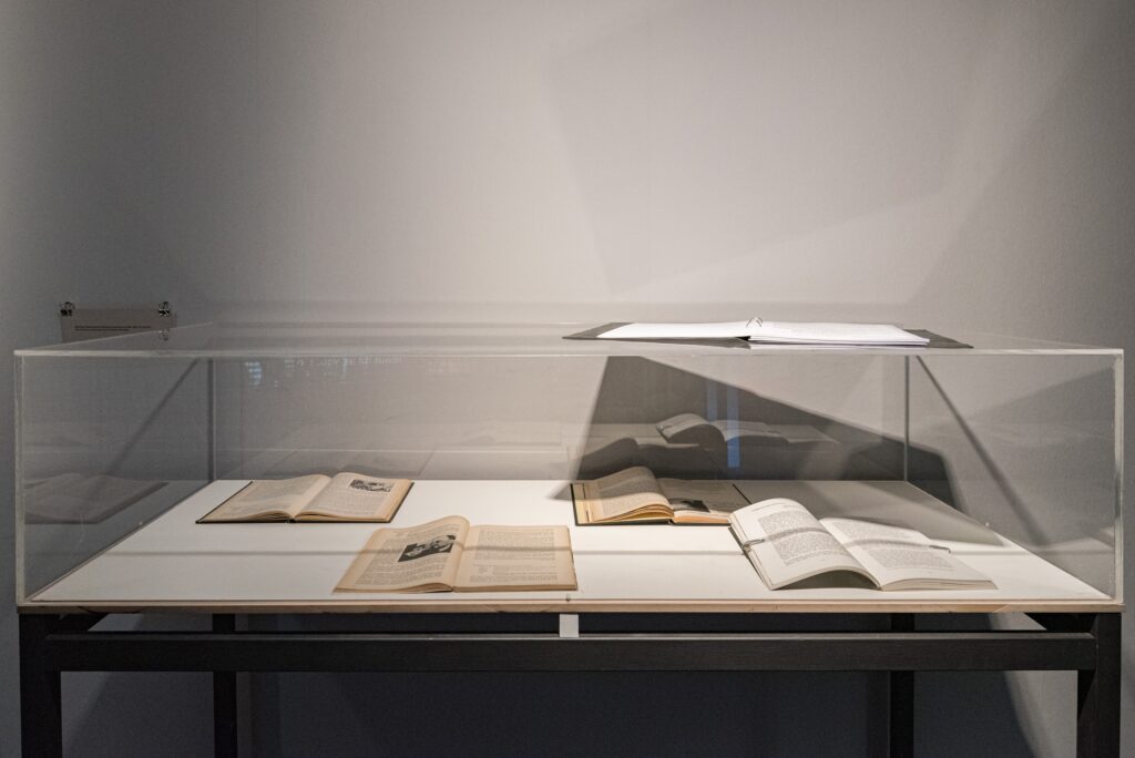 Ausstellungsansicht elimir ilnik: Shadow Citizens. Foto © Edith-Russ-Haus