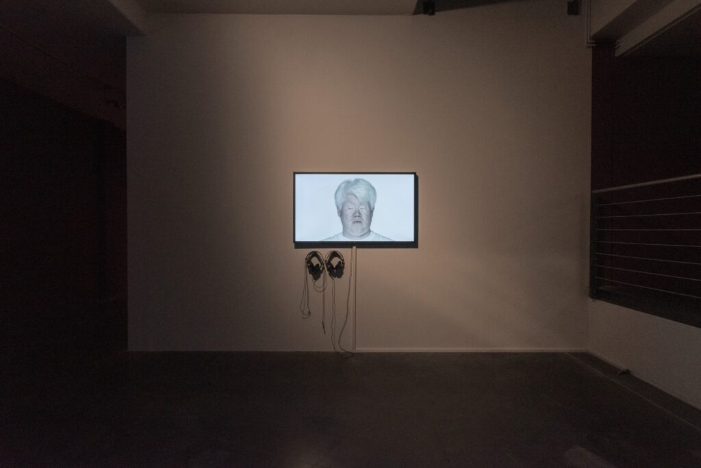 Ho Tzu Nyen: Newton. Photo © Edith-Russ-Haus