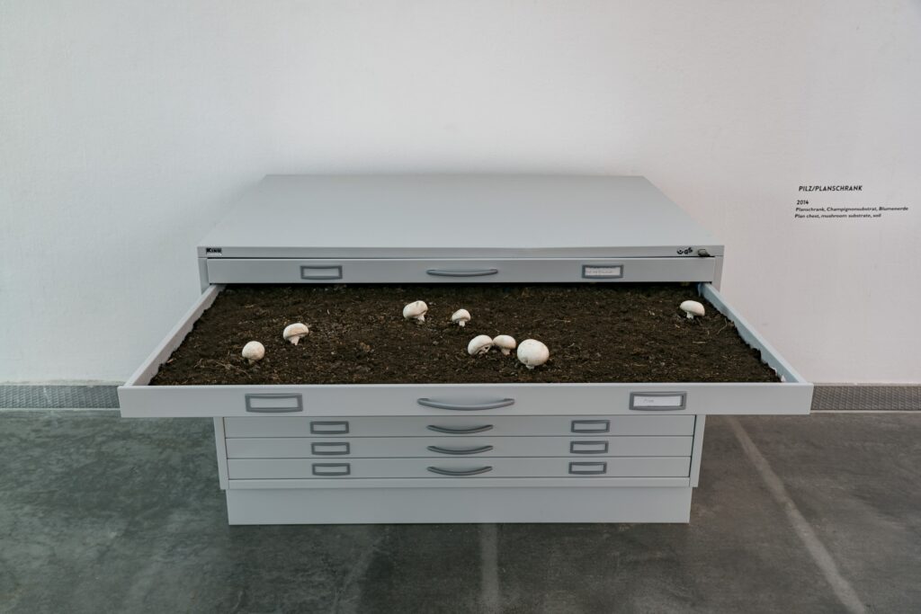 Leopold Kessler: Pilz/Planschrank. Foto © Edith-Russ-Haus