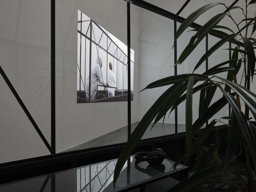 Silvia Martes: Enclose. Deprive of Light. Hide. Photo © Edith-Russ-Haus 2022