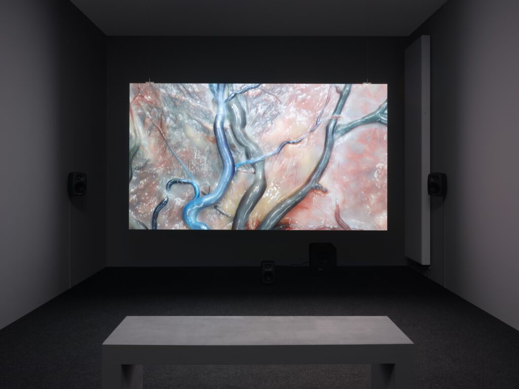 Lucy Beech: Flush. Photo © Edith-Russ-Haus 2023