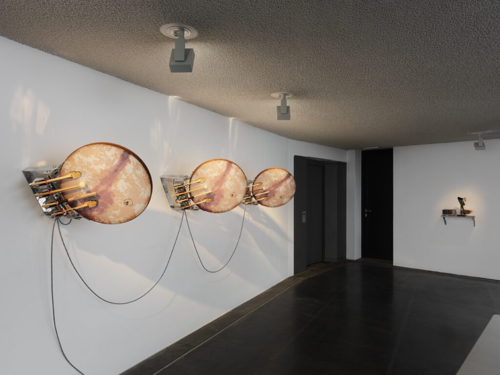 Ausstellungsansicht Rana Hamadeh: Standard_Deviation II. Foto © Edith-Russ-Haus