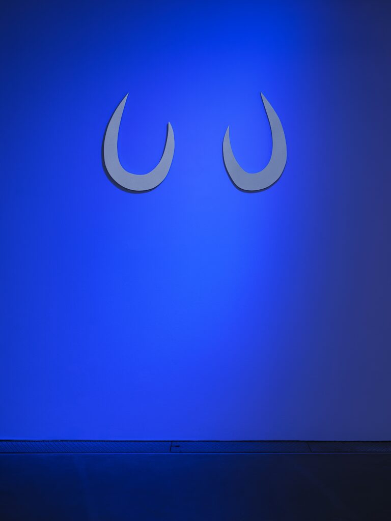 Clara Jo: Fiery Rings of Purkenje. Photo © Edith-Russ-Haus