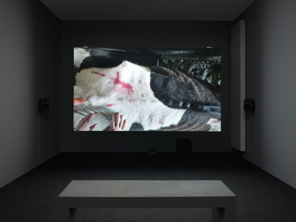 Lucy Beech: Flush. Photo © Edith-Russ-Haus 2023