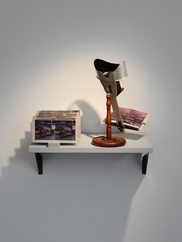 Ausstellungsansicht Rana Hamadeh: Standard_Deviation II. Foto © Edith-Russ-Haus