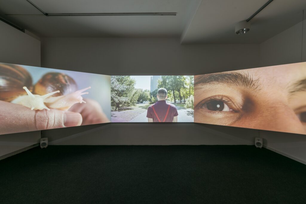 Doireann O’Malley: Prototypes. Photo © Edith-Russ-Haus