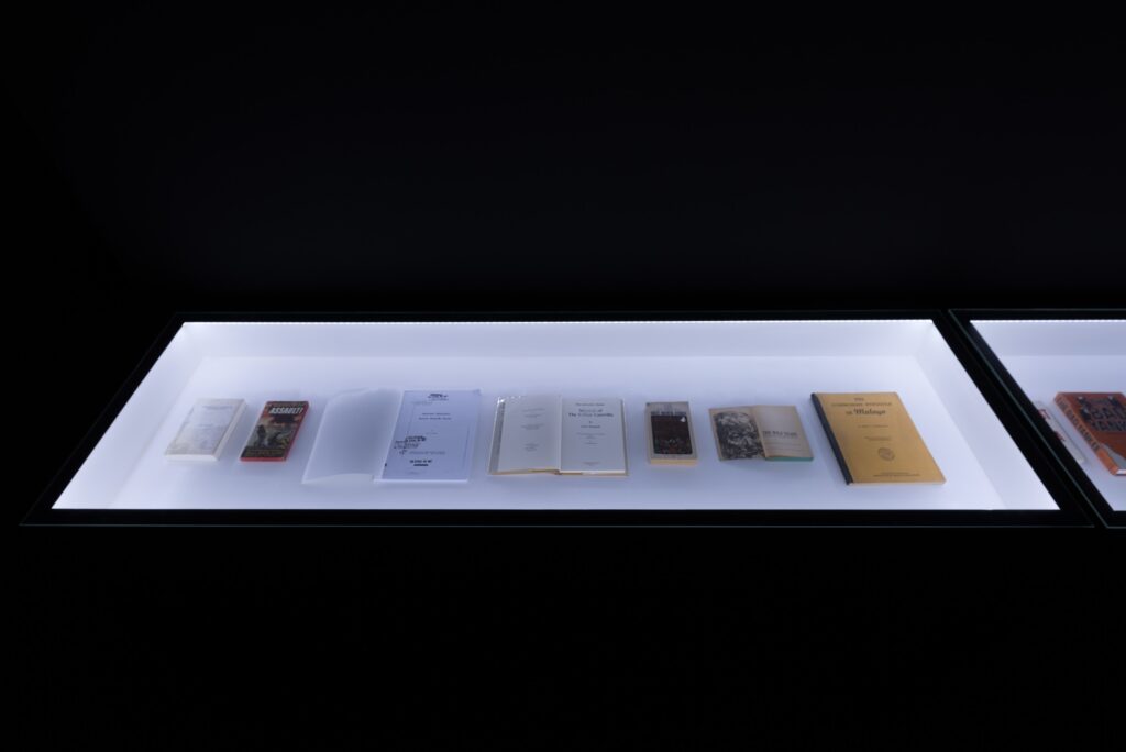 Ho Tzu Nyen: The Name. Photo © Edith-Russ-Haus