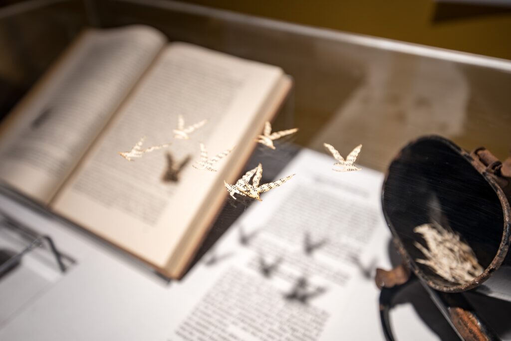 Szabolcs KissPál: The Chasm Archaelogical Finds. Foto © Edith-Russ-Haus