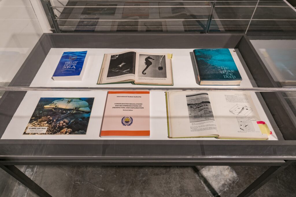 Armin Linke: Oceans – Dialogues Between Ocean Floor and Water Column. Photo © Edith-Russ-Haus