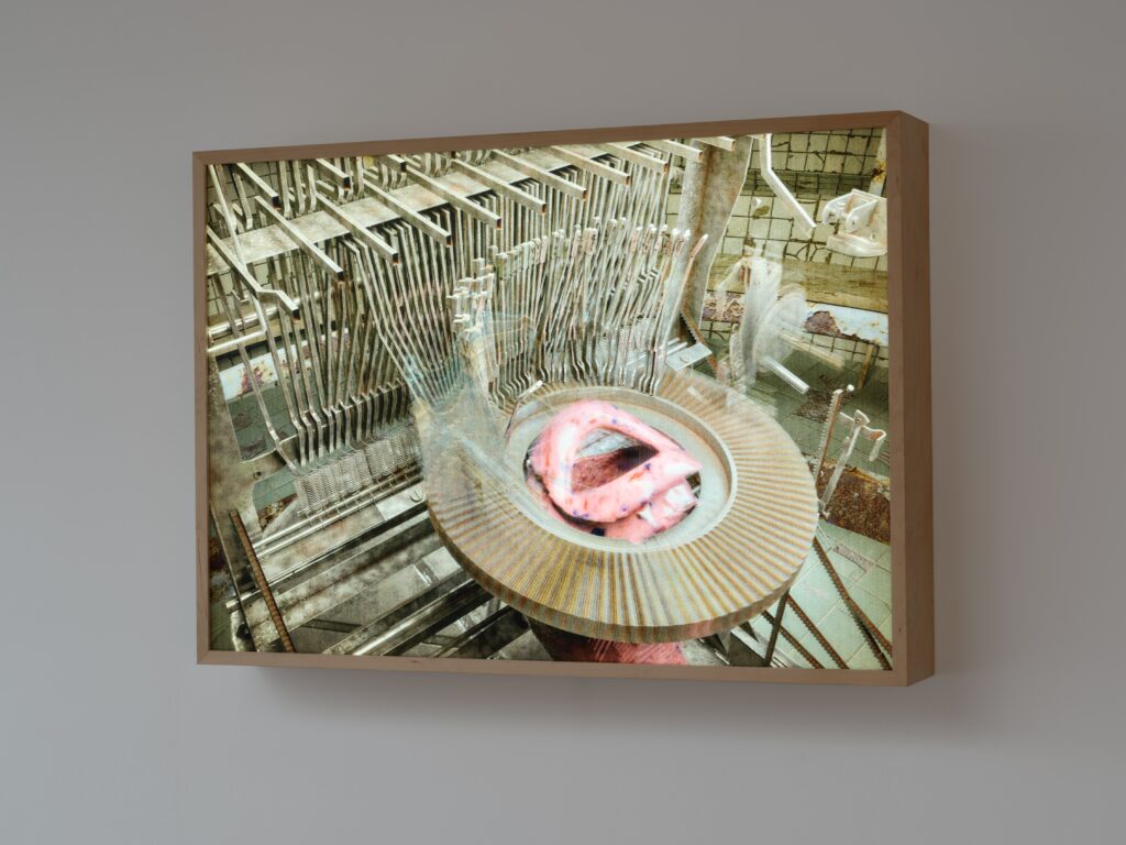 Ausstellungsansicht Rana Hamadeh: Standard_Deviation II. Foto © Edith-Russ-Haus