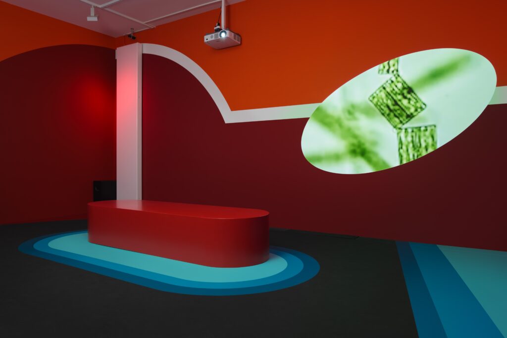 A.S.T.: Intertidal. Photo © Edith-Russ-Haus