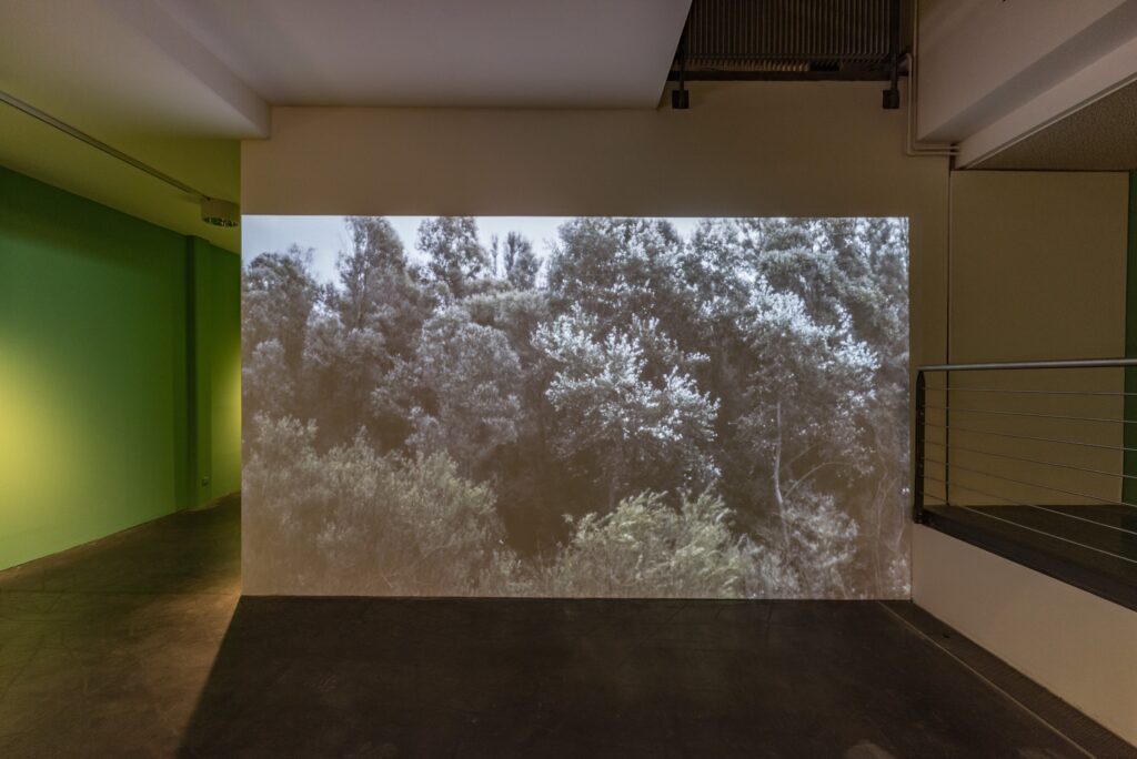 Tanja Engelberts: Hollow. Foto © Edith-Russ-Haus