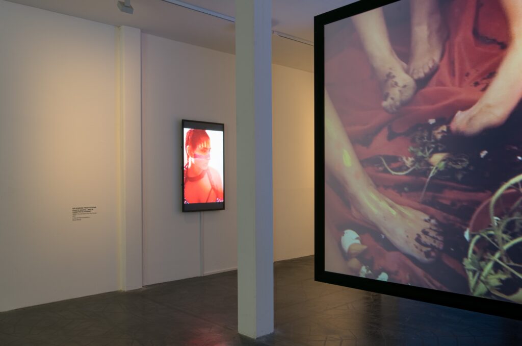 Denn hinter diesem Horizont liegt ein weiterer Horizont. Foto © Edith-Russ-Haus